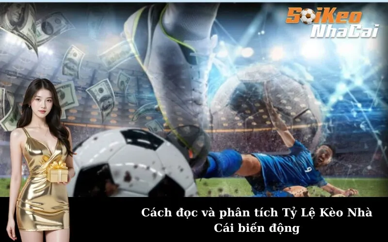 Cách đọc và phân tích Tỷ Lệ Kèo Nhà Cái biến động