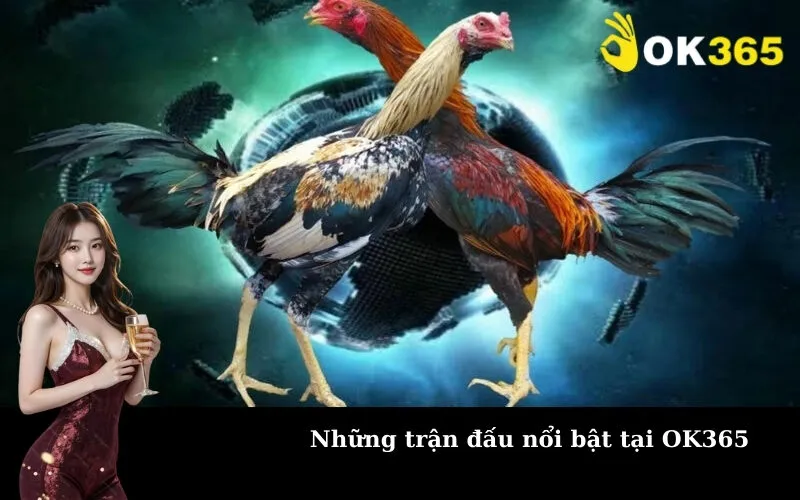 Những trận đấu nổi bật tại OK365