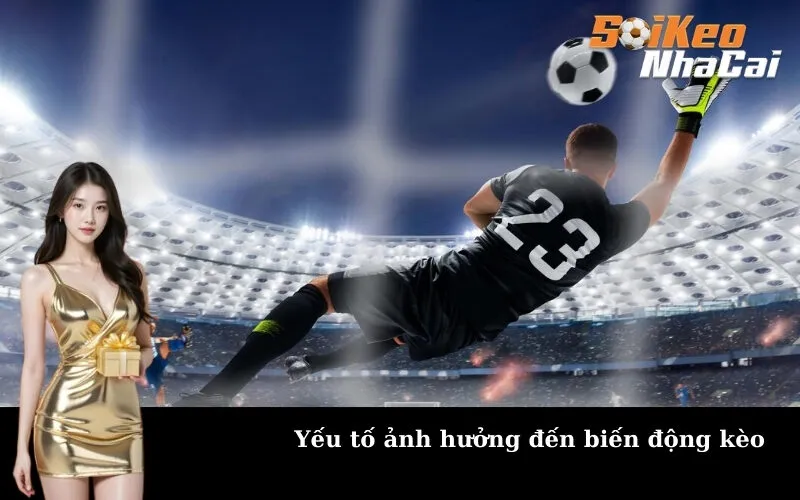 Yếu tố ảnh hưởng đến biến động kèo